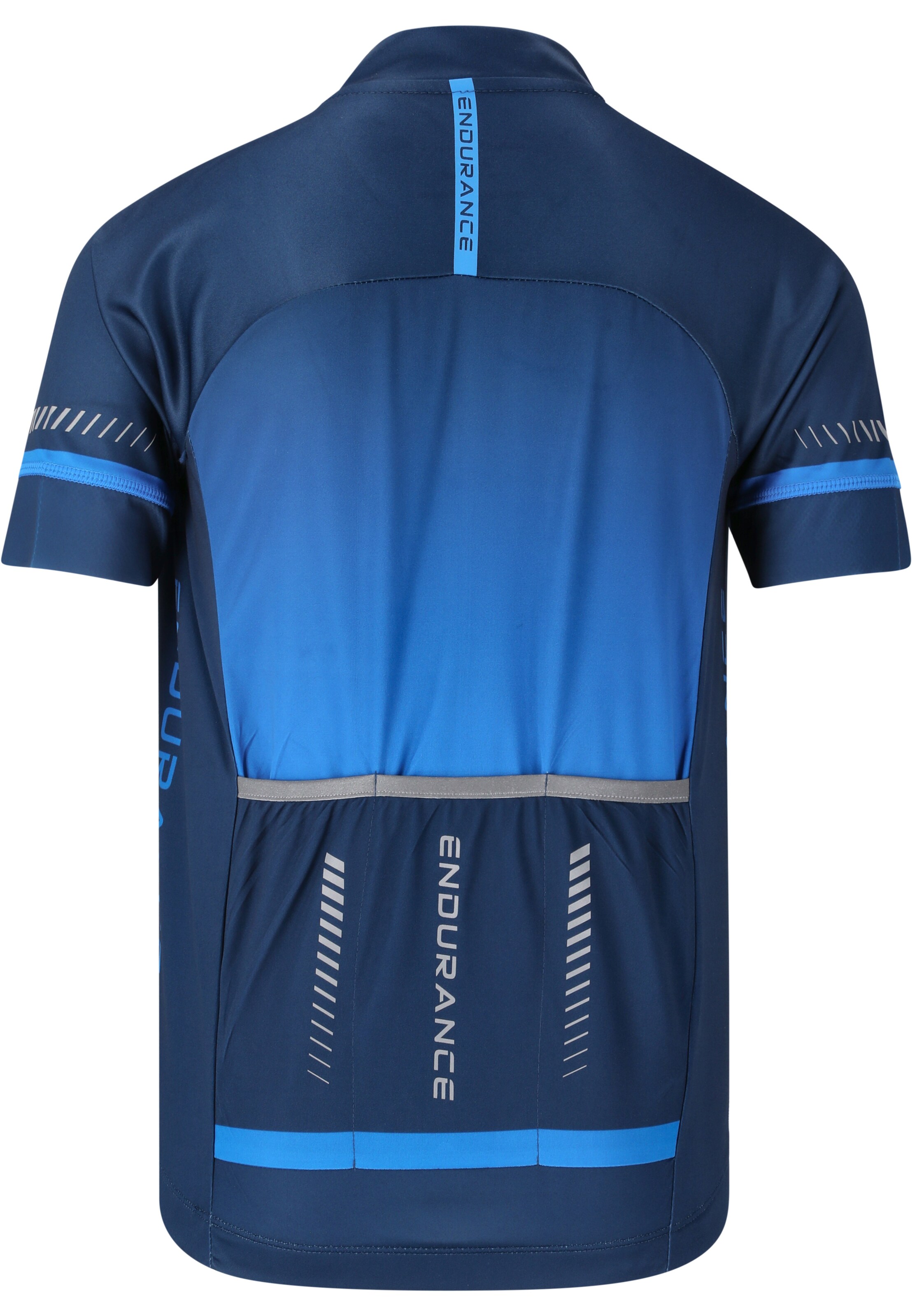 ENDURANCE Functioneel shirt in Blauw