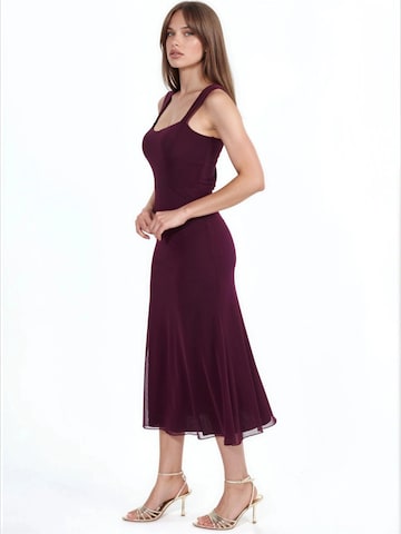 Hiccup Dress in Red