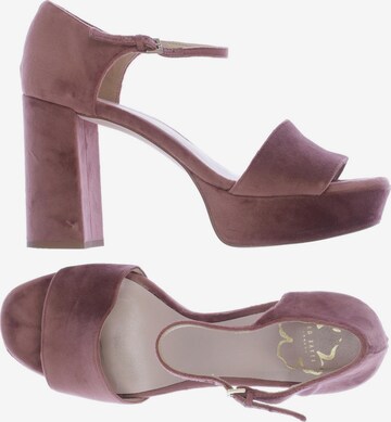 Ted Baker Sandals & High-Heeled Sandals in 39 in Pink: front