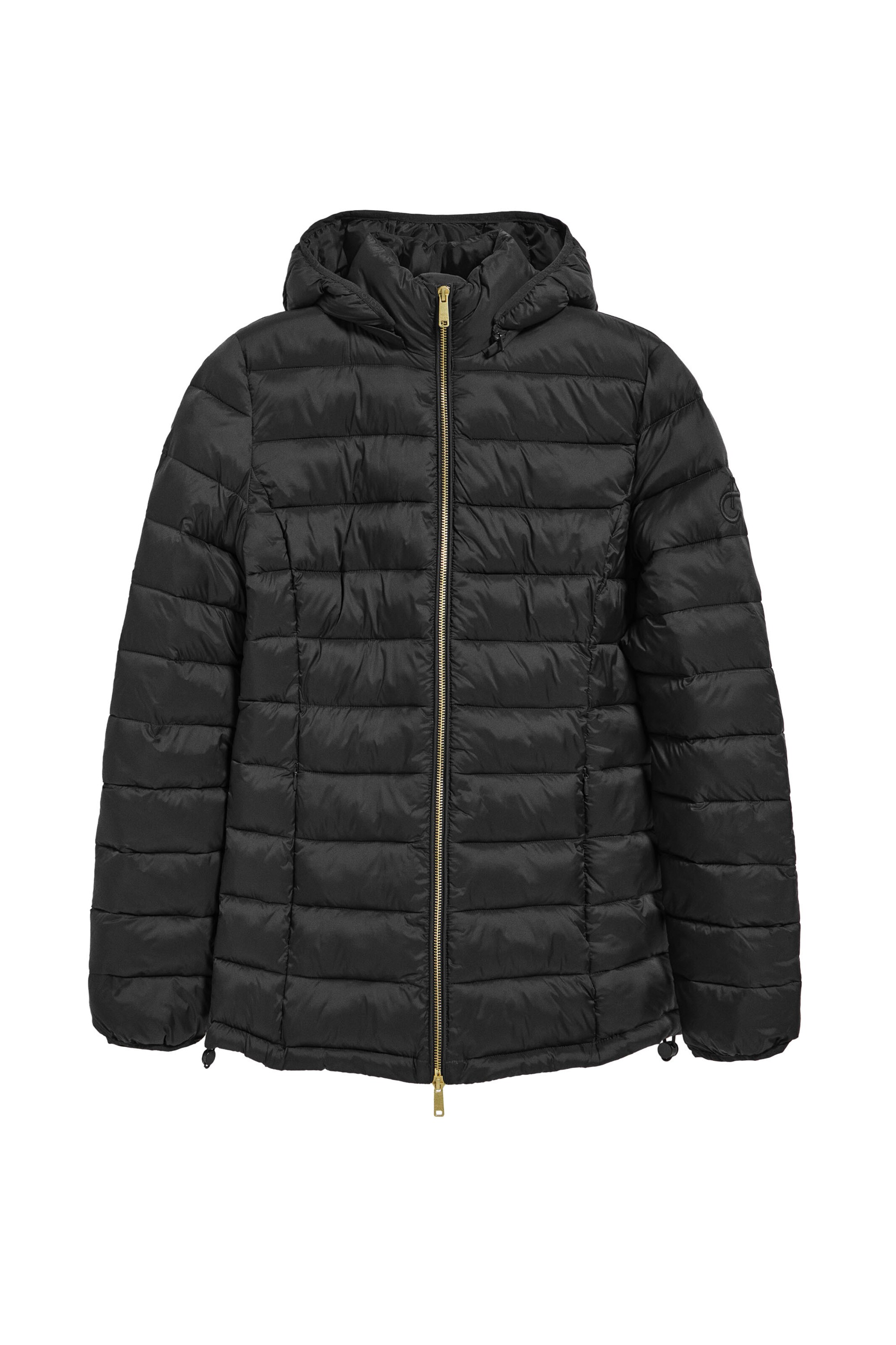 Polo Club Between-Season Jacket in Black: front