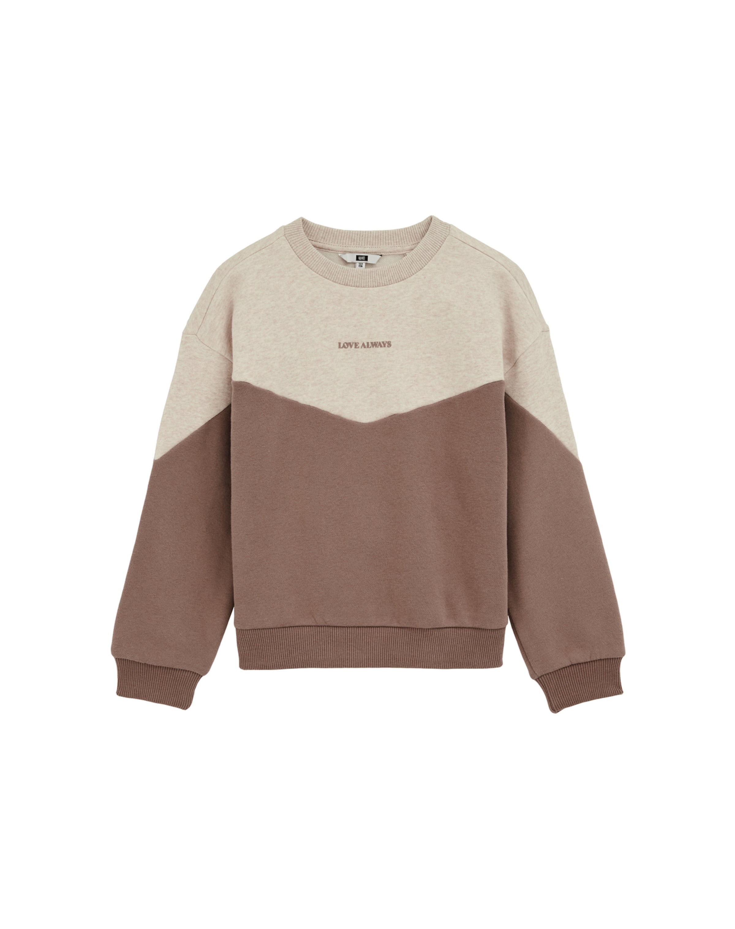 Sweat-shirt WE Fashion en marron : devant