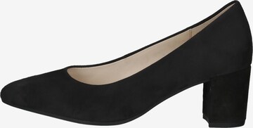 GABOR Pumps in Schwarz