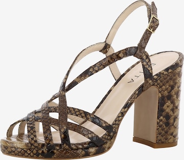 EVITA Strap Sandals in Brown: front