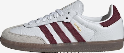 ADIDAS ORIGINALS Matalavartiset tennarit 'SAMBA OG' koossa 35,5 värissä beigenharmaa / viininpunainen / valkoinen, Tuotenäkymä