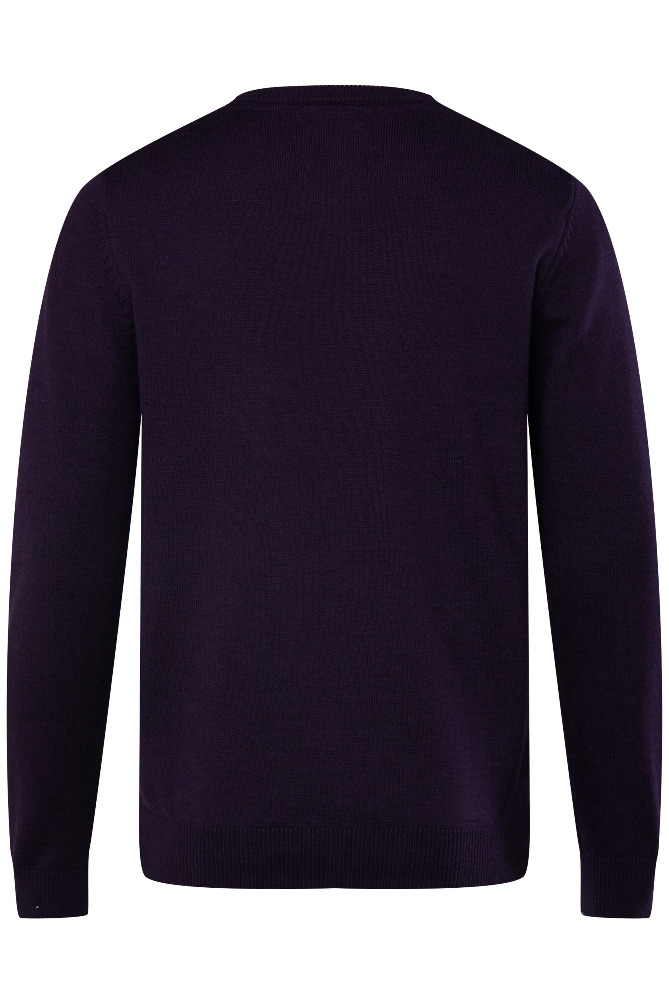 Boston Park Trui in Lila