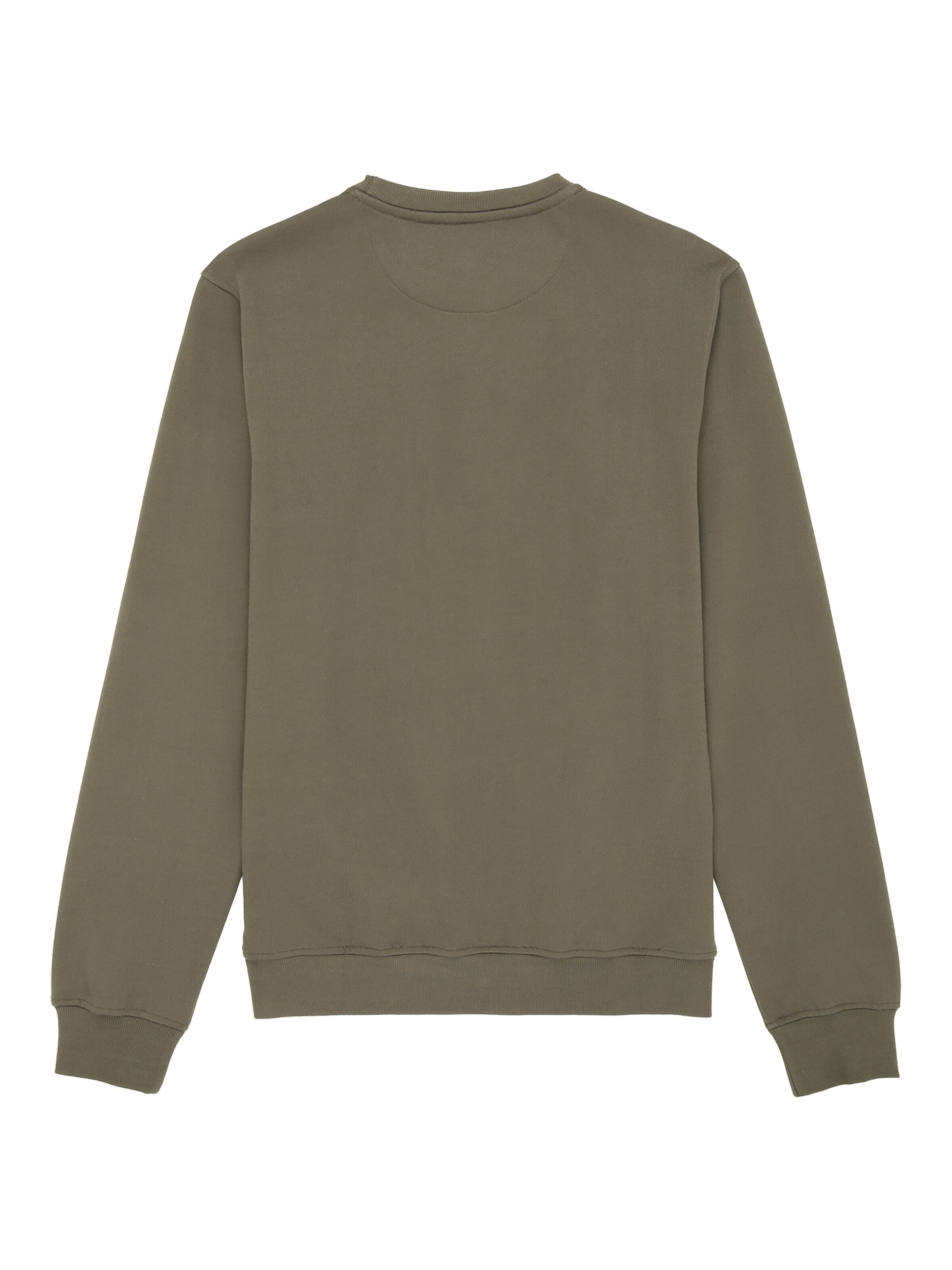 FILA Sweatshirt 'BIELLA regular crewneck sweatshirt' in Groen
