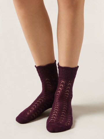 CALZEDONIA Socken in Rot: Vorderseite