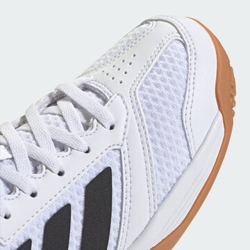 Chaussure de sport 'Ligra 8' ADIDAS PERFORMANCE en blanc