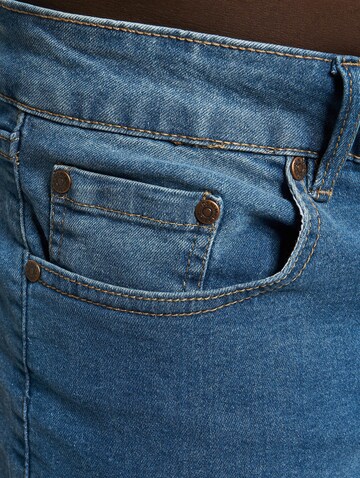 Denim Project Regularen Kavbojke | modra barva