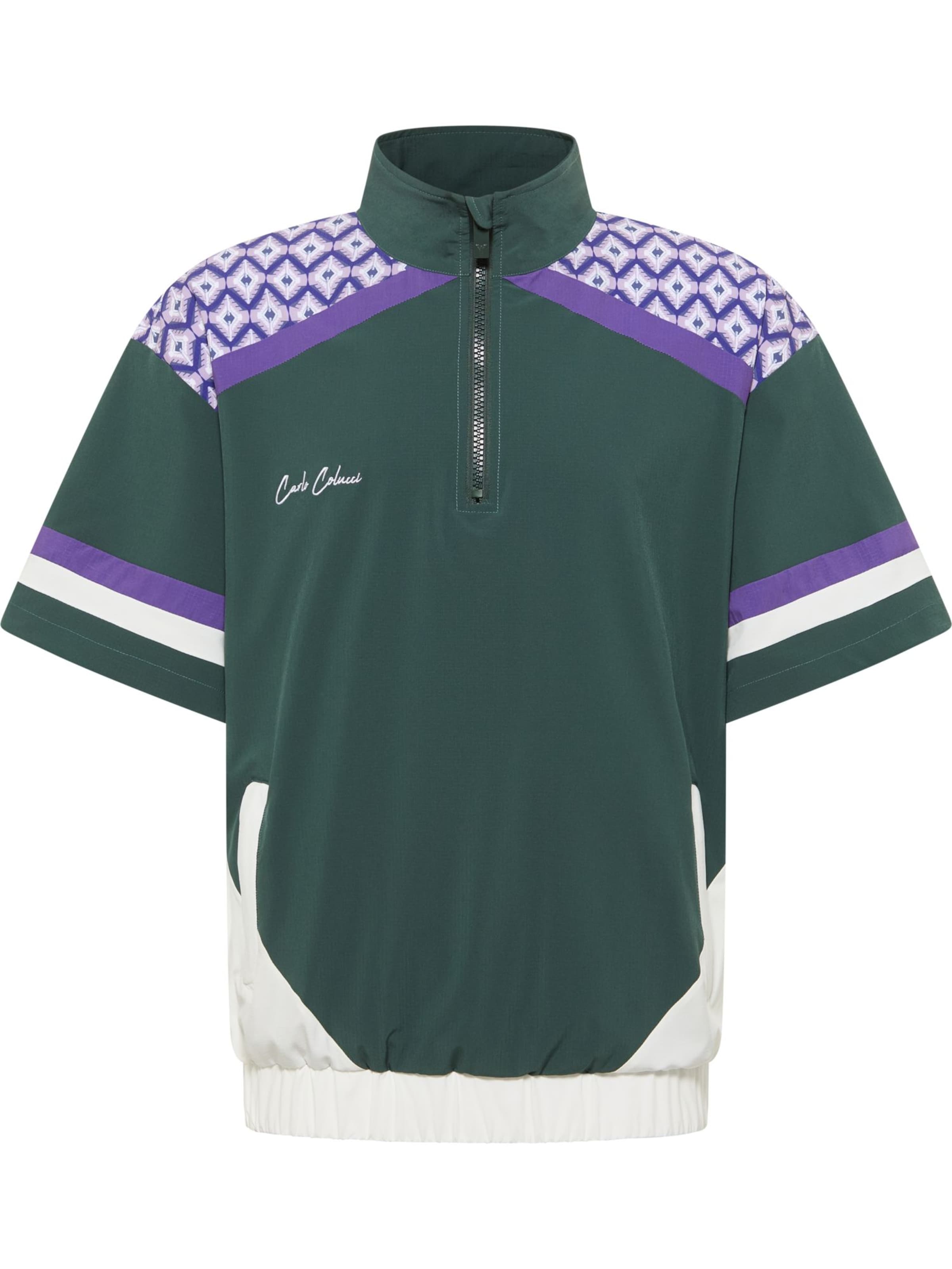 Carlo Colucci Shirt 'Fassnauer' in XXXL in Green / Mixed colors, Item view