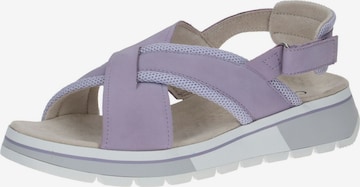 Sandales CAPRICE en violet : devant