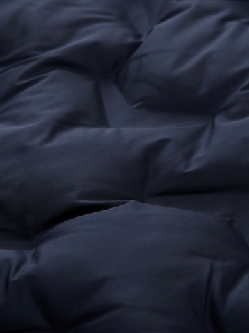 TOM TAILOR Winterjacke in Blau