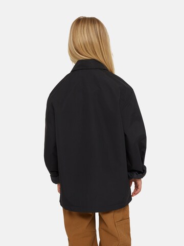 DICKIES Between-season jacket in Black