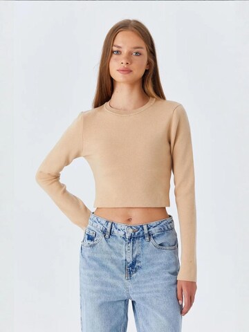 MixRay Pullover 'Pullover'‌‌‌ in Beige