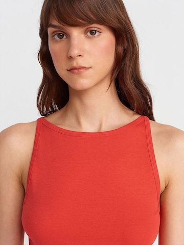 Dilvin Bluse 'Blusen'‌‌‌‌‌‌‌‌‌‌ in Rot