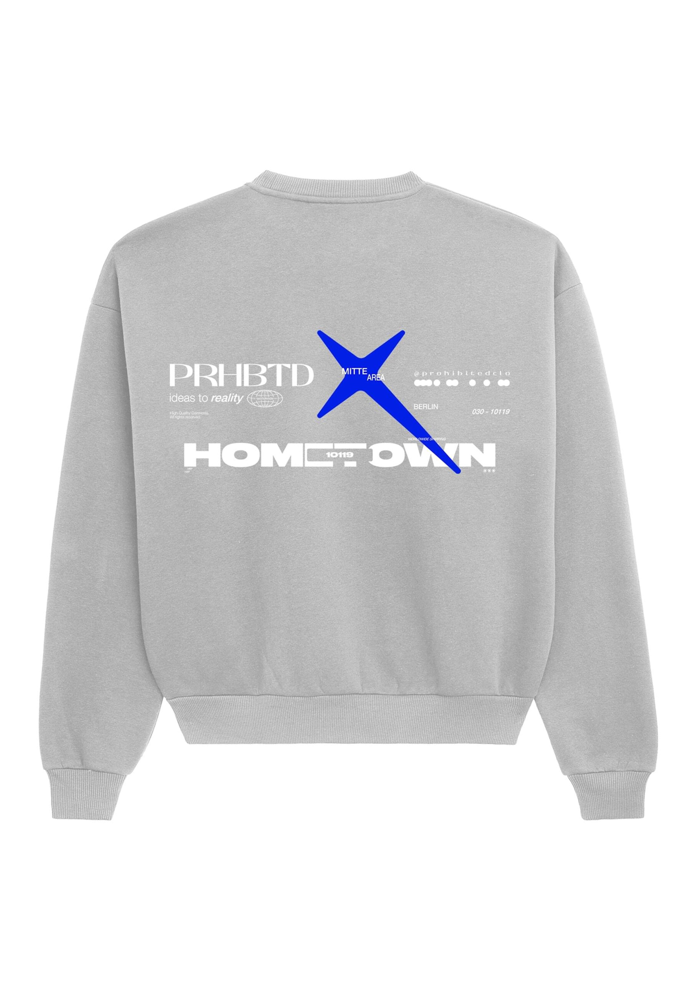 Felpa 'Hometown' di Prohibited in grigio