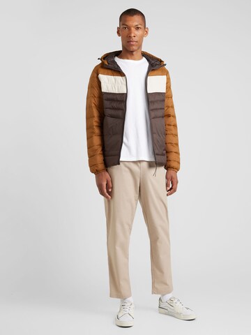 JACK & JONES Between-season jacket 'JJESPRINT' in Brown