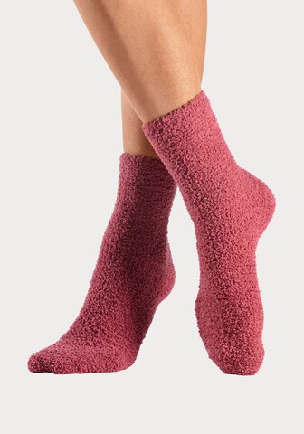 LASCANA Socken in Pink