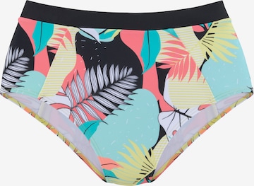 Bas de bikini sport LASCANA ACTIVE en mélange de couleurs : devant