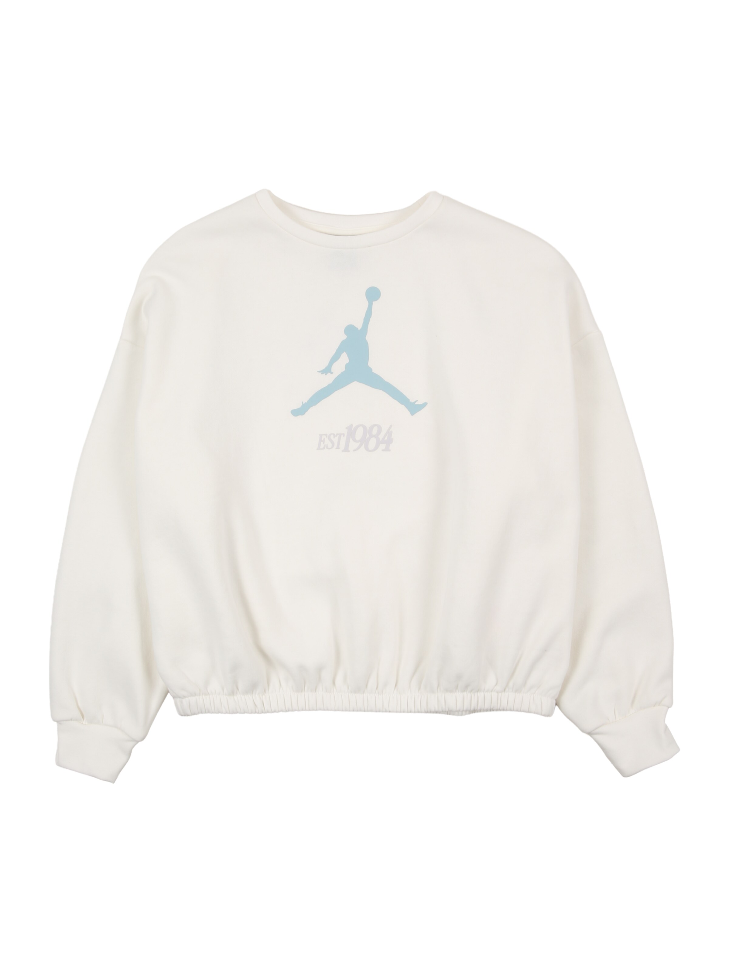 Bluză de molton 'JUMPMAN CLUB' de la Jordan pe gri: față