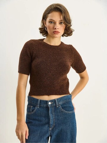 Bianco Lucci Pullover 'Pullover'‌‌‌‌‌‌‌‌‌‌ in Braun