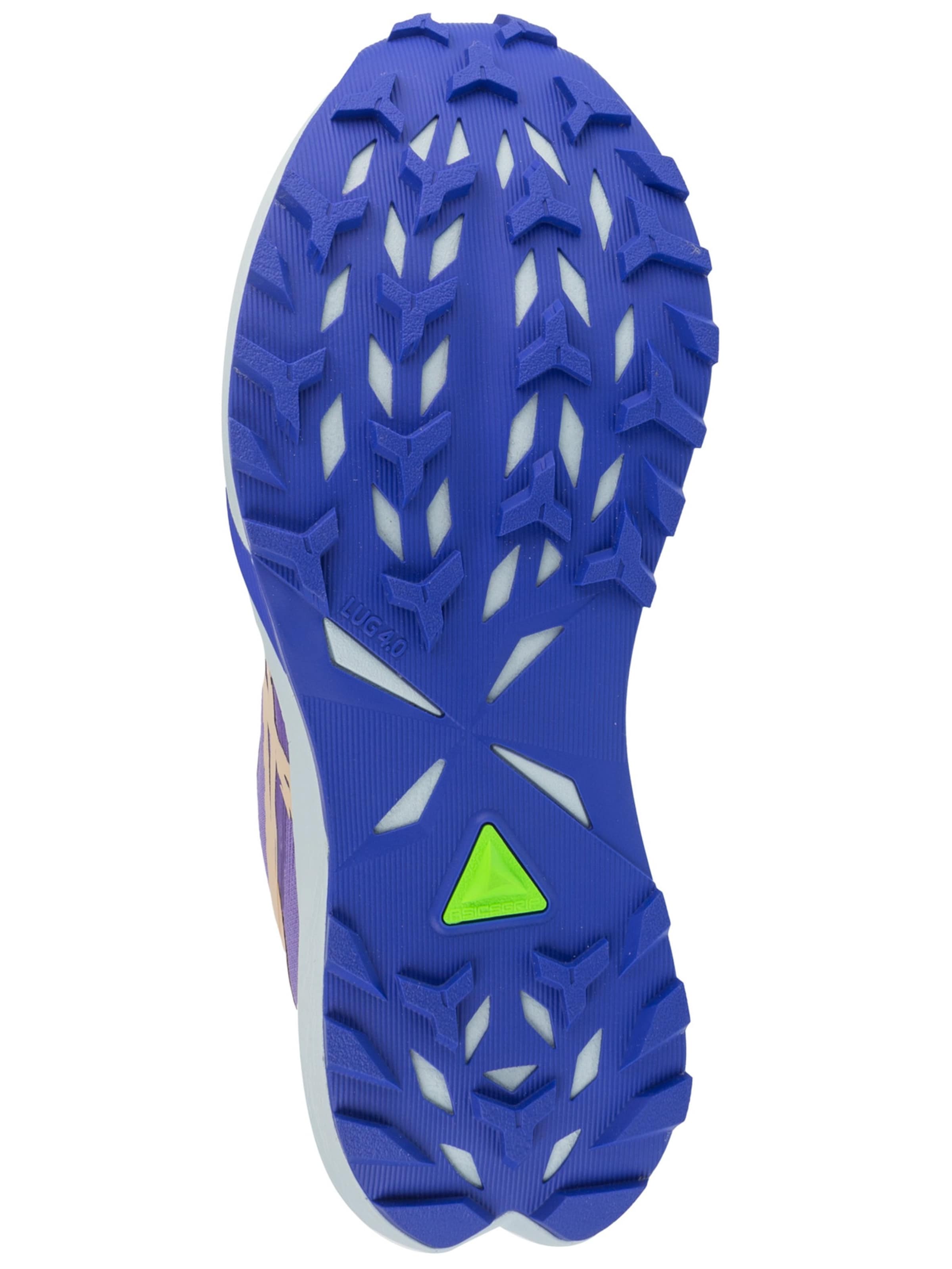 ASICS Loopschoen 'Fuji Lite 6' in Lila