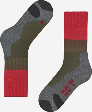FALKE Athletic Socks 'TK2' in Mixed colors