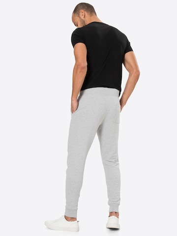 AllSaints Tapered Pants 'Raven' in Grey