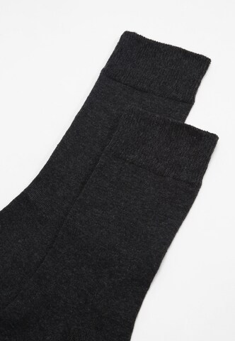 Albert Schäfer Socks in Grey