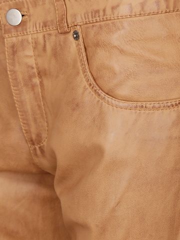 JCC Regular Hose in Braun