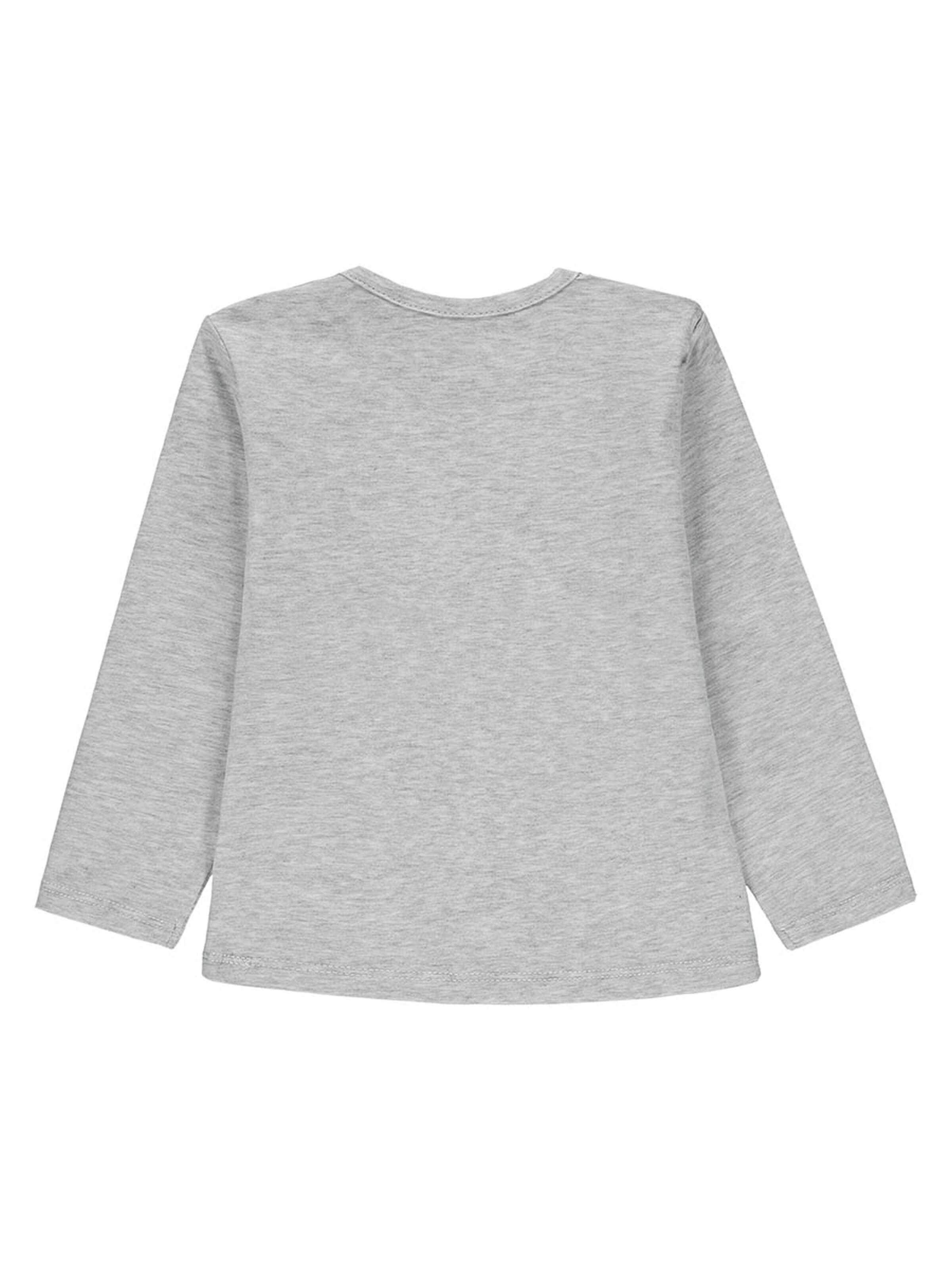 KANZ Shirt in Grey