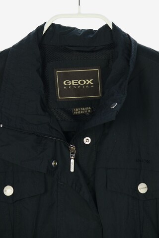 GEOX Jacket & Coat in XL in Black