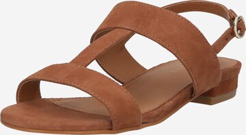 Sandales à lanières 'Bronya' Dorothy Perkins en marron : devant