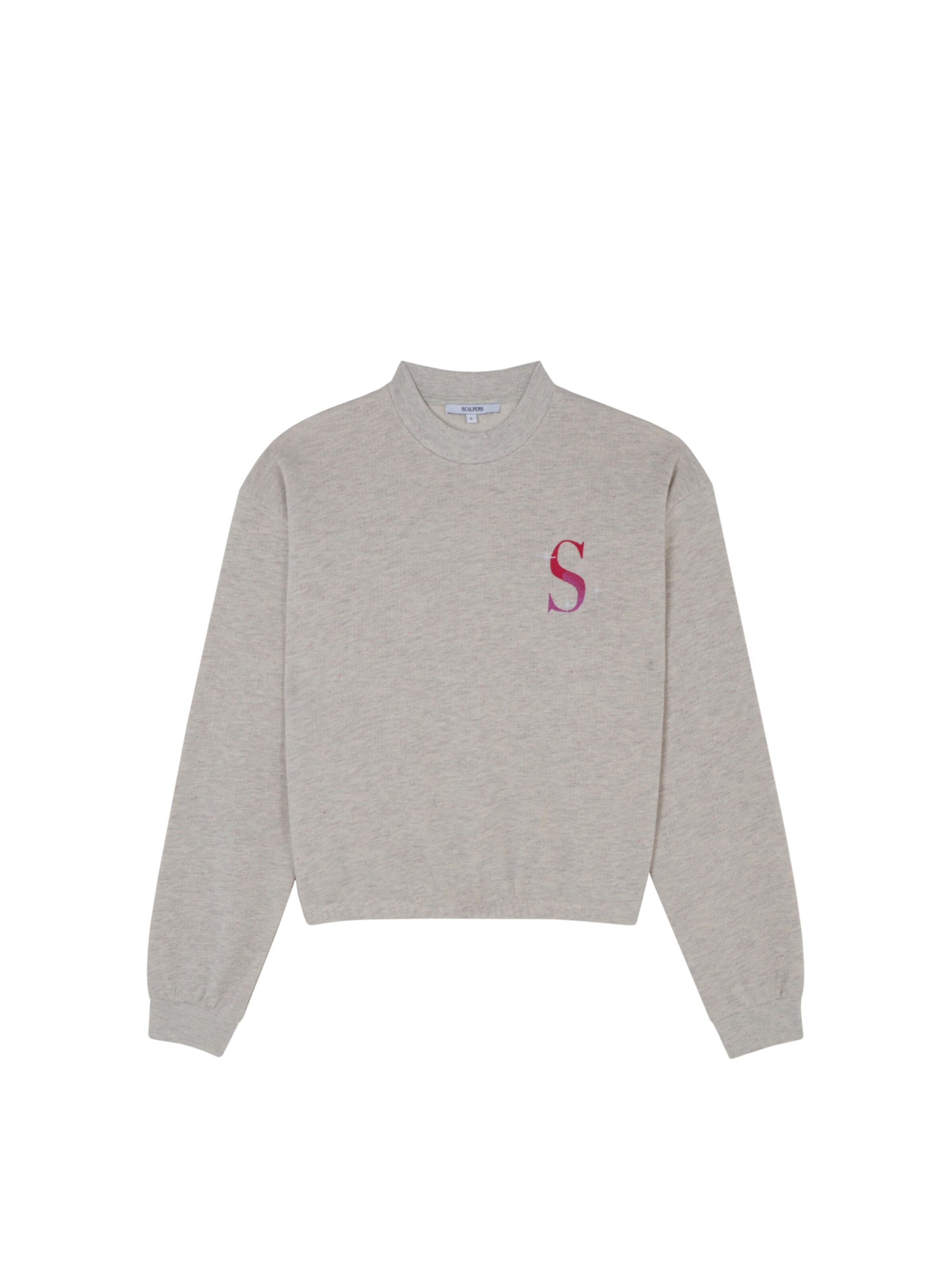 Bluză de molton ' ' de la Scalpers pe gri: față