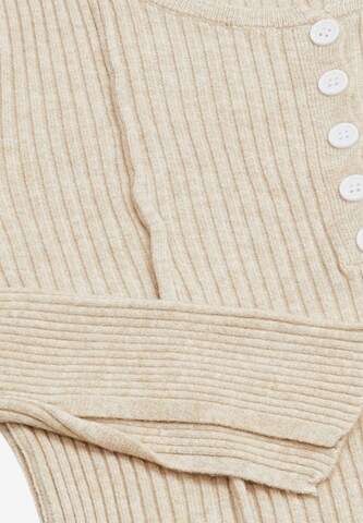 IPARO Pullover in Beige