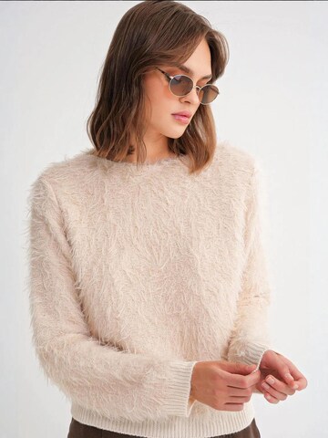 Pullover di MixRay in beige