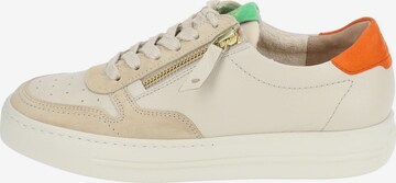 Paul Green Sneakers laag in Beige