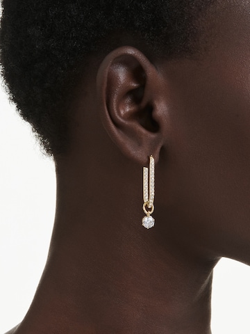 Swarovski Earrings in Gold: front