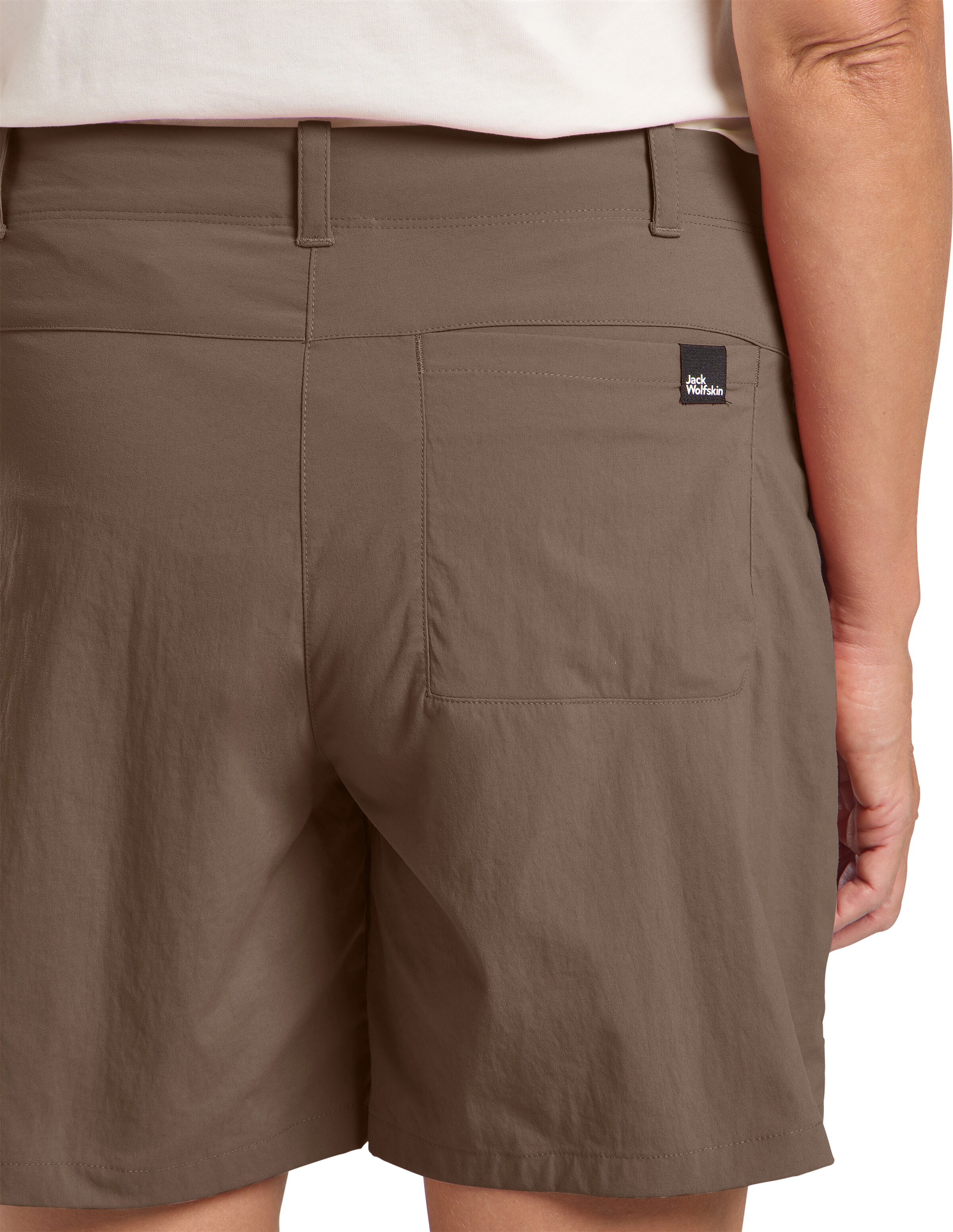 JACK WOLFSKIN Regular Outdoorhose 'Desert' in Braun