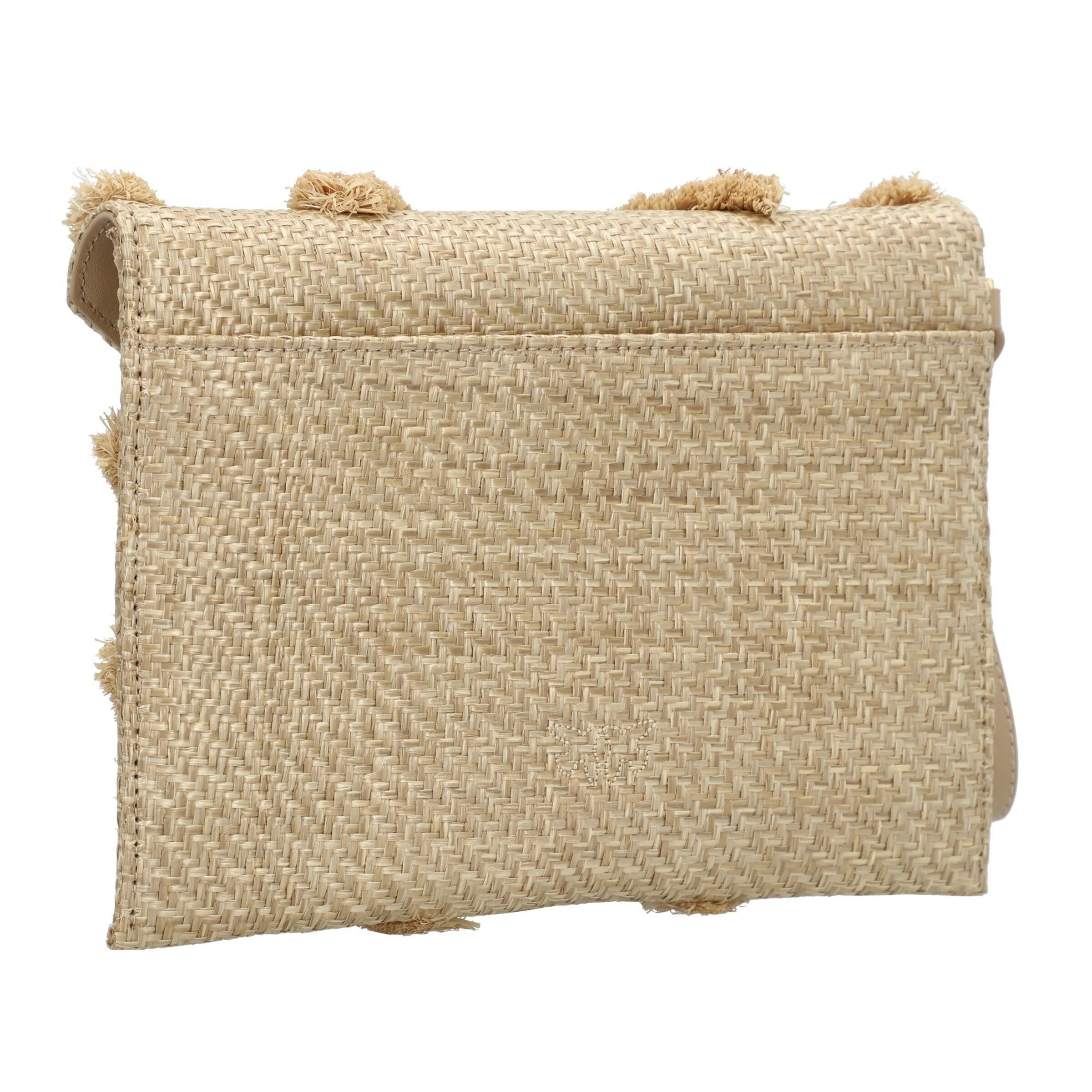 PINKO Clutch 'Flat Purse' in Brown