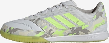 Chaussure de sport 'Top Sala Competition II' ADIDAS PERFORMANCE en blanc : devant