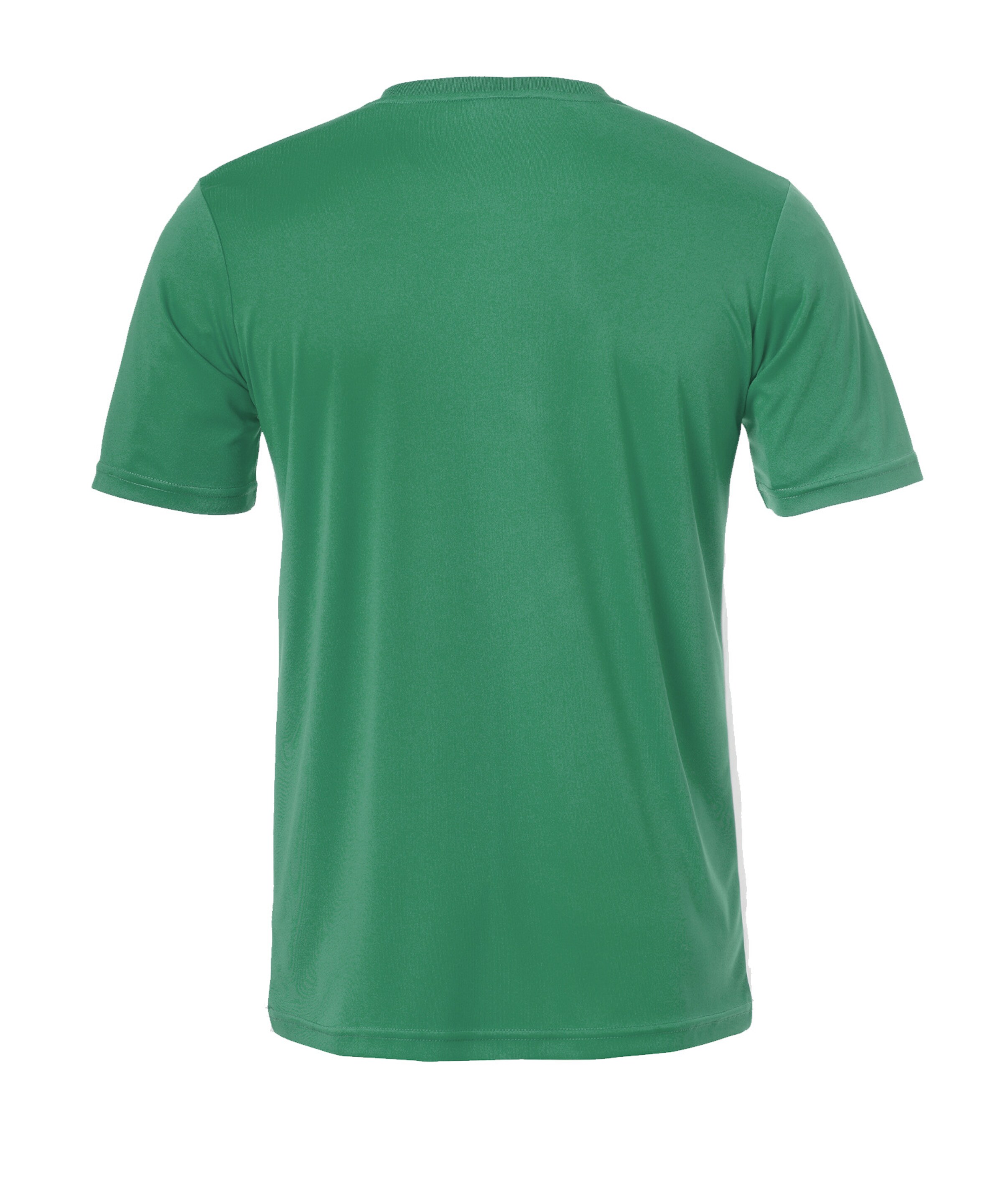 UHLSPORT Trikot 'Team Essential' in Grün