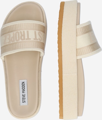 STEVE MADDEN Plätu 'KNOXLEY', värv beež