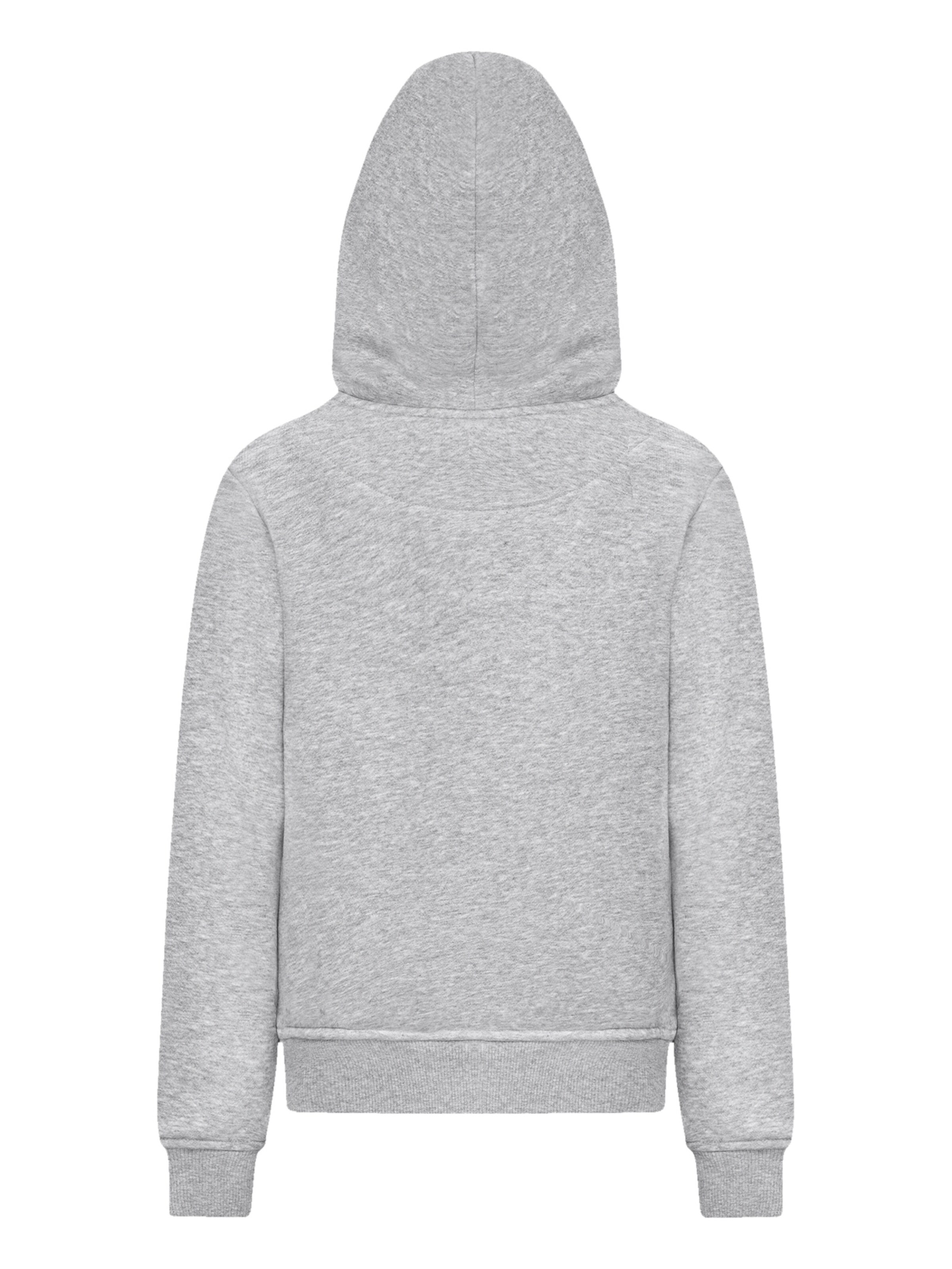 Pull-over 'Disney Muppets-Dr.-Teeth-and-The-Electric-Mayhem' F4NT4STIC en gris