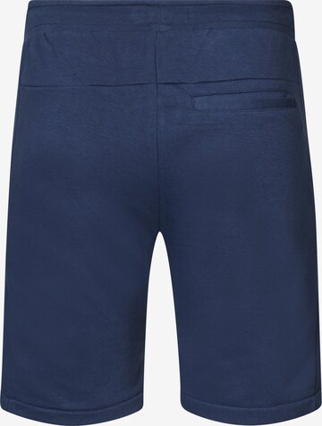 regular Pantaloni cargo di Petrol Industries in blu