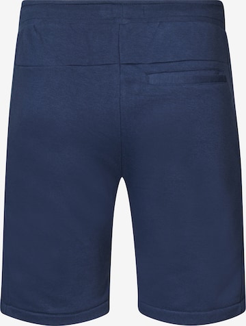 regular Pantaloni cargo di Petrol Industries in blu