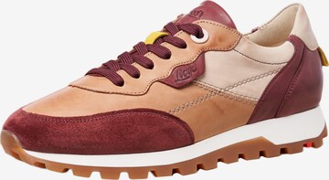 LLOYD Sneaker low in Braun