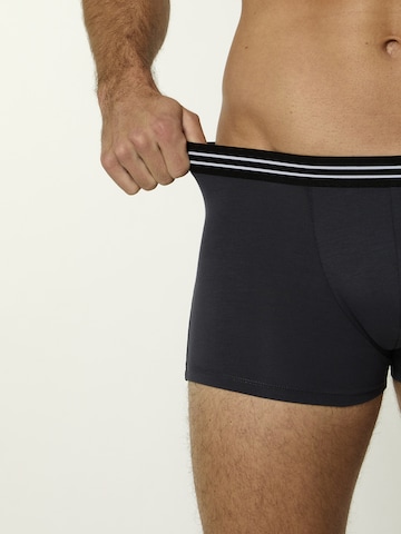 Nur Die Boxer shorts ' Cotton Stretch ' in Blue