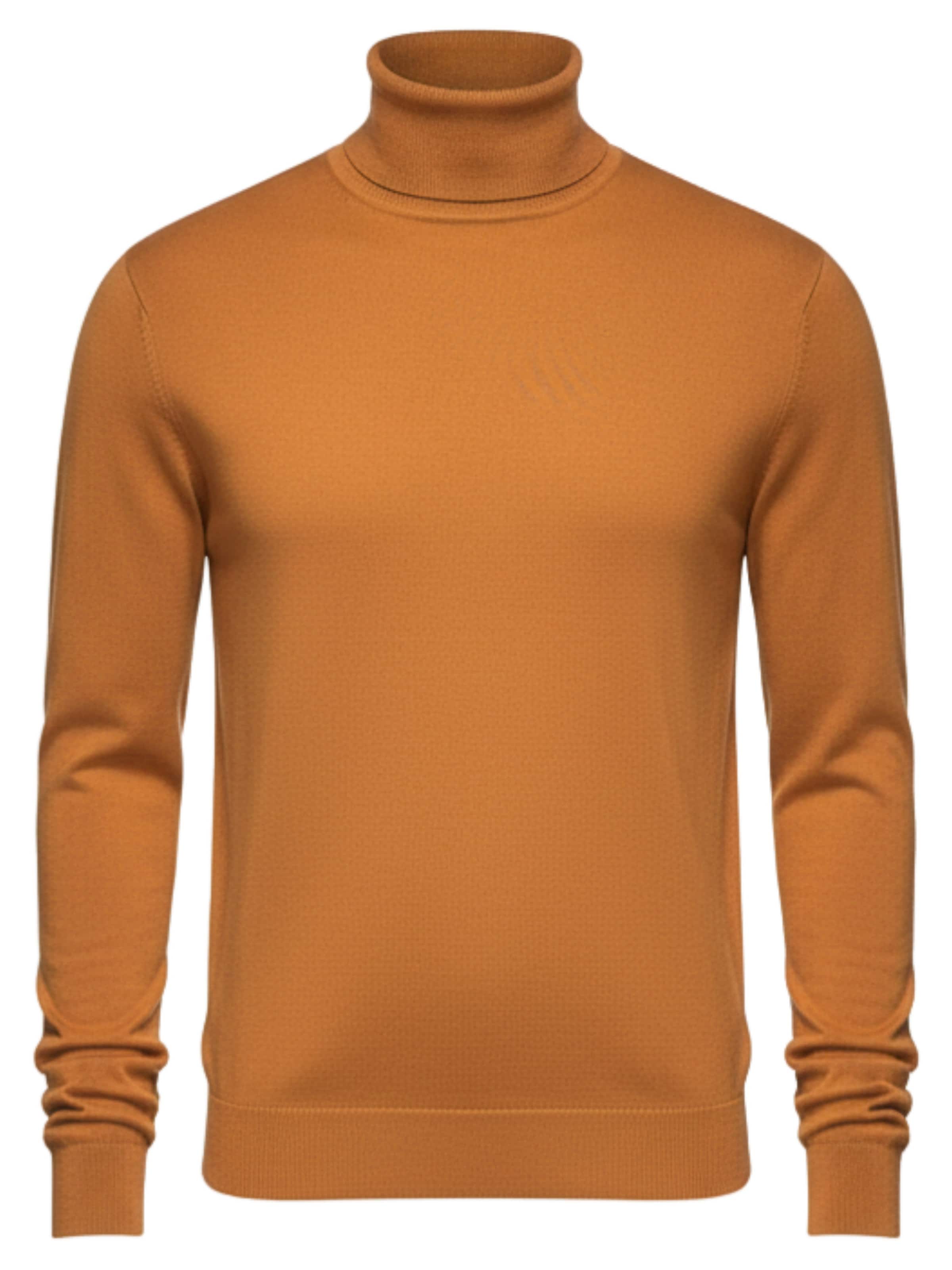 Ombre Sweater 'OM-SWTN-0101' in Camel, Item view