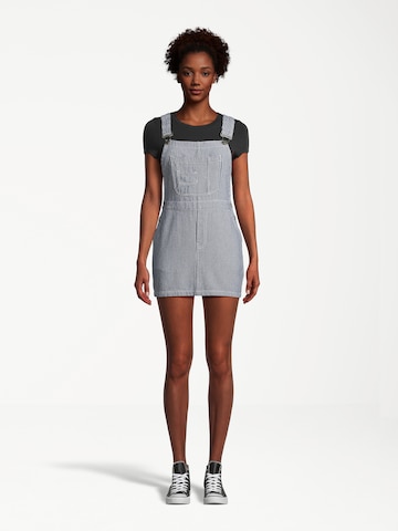 AÉROPOSTALE Overall Skirt in Blue